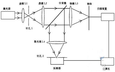 古巴人口再生产类型_目前与甲国1890 1920年人口再生产类型相同的国家是 A.韩国(3)