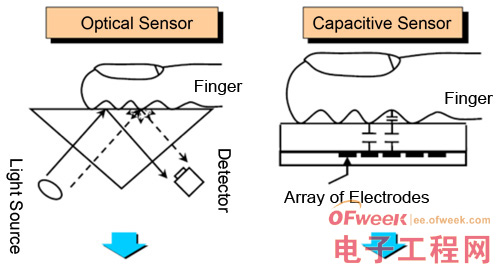 指纹识别掀起热潮 电容传感方案趋成熟 - OFw
