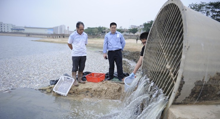 被老总钓鱼_钓鱼图片卡通